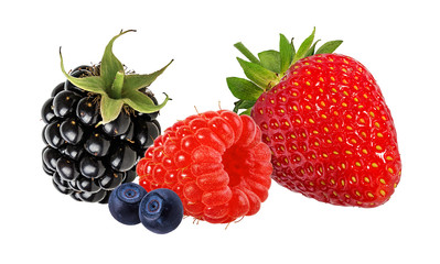 Berries collection. Raspberry, strawberry,blueberry, blackberry  isolated on white.