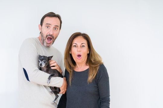 Middle age couple holding small chihuahua over isolated background scared in shock with a surprise face, afraid and excited with fear expression