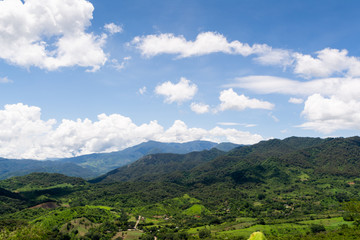 Obraz premium festival del hongo