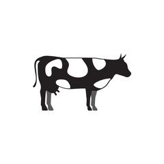 Cow graphic design template vector isolated illustration