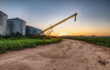 Early morning on a farm with silos and grain augers. © Joe