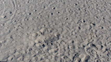 Looking down an a sandy beach