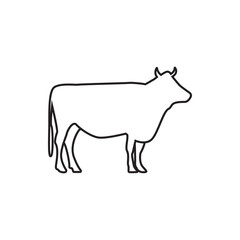 Cow graphic design template vector isolated illustration