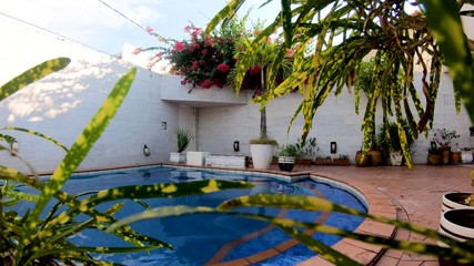 Static footage behind leaves of classic swimming pool in Brazil showing the fresh blue water without people swimming it and surrounded by plants and purple pink flowers