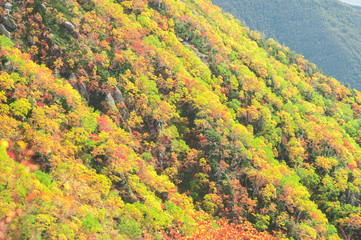 【長野県駒ヶ根市】千畳敷カールの紅葉