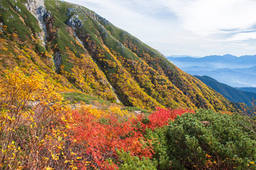 【長野県駒ヶ根市】千畳敷カールの紅葉