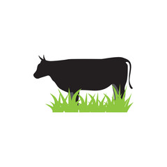 Cow graphic design template vector isolated illustration