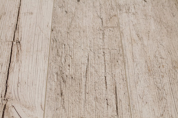 Wood texture. Wood texture for design and decoration