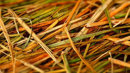 Peru - Lago Titicaca: Ilhas Flutuantes de Uros e Taquile