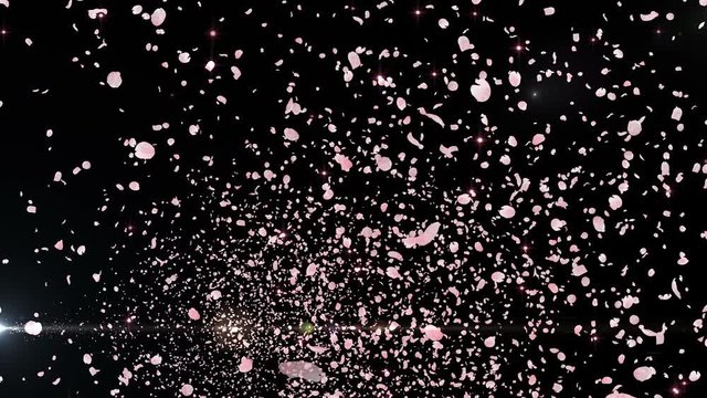 Cherry Blossom Sakura Petals and Lens Flares Particles background