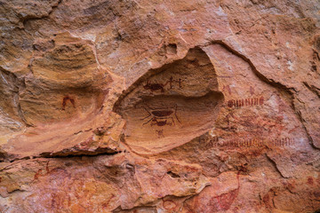 The Serra da Capivara National Park is in Caatinga, the only exclusively Brazilian biome..Piaui - Brazil.