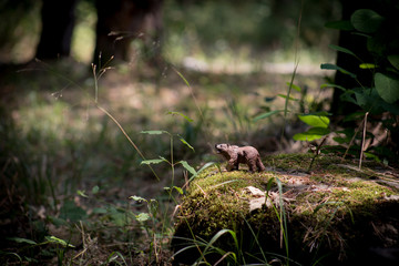 Brown bear walking in forest. Mini bear figure (or toy bear) at the park.