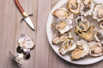 Fresh shucked oysters plate over wood background