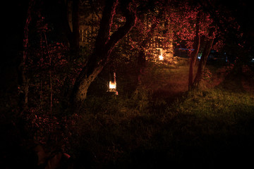 Fototapeta premium Horror Halloween concept. Burning old oil lamp in forest at night. Night scenery of a nightmare scene.