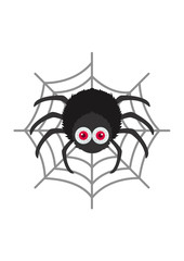 Halloween, spider, illustration
