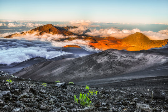 Haleakala National Park, Maui, Hawaii