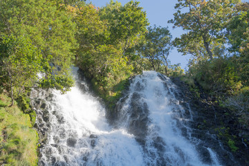 木々の間を流れ落ちる滝