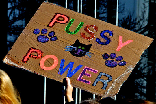 Pussy Power Sign. Women's March Was A Worldwide Protest On January 21, 2017, The Day After The Inauguration Of Donald Trump As US President