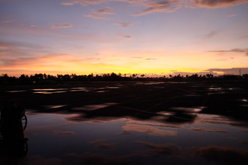 bright sunrise on the horizon. pink and purple sky in puddle water reflection