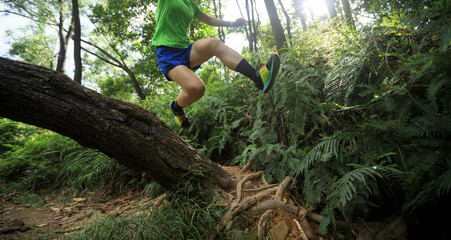 Naklejka na ściany i meble Ultramarathon runner cross country trail running in summer tropical rainforest
