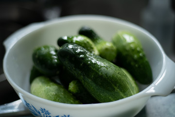 Cucumbers in a bowl landscape