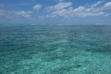 Fototapeta na wymiar wide green sea horizon under white cloud sunny blue sky in Maldives. coral reefs under shallow clear water