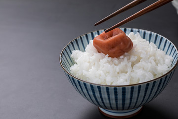 白いご飯と梅干し　Japanese meal	