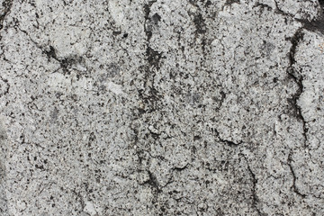 Close up of Stone wall  texture background