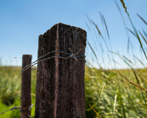 Fence post with wire