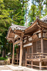 Naklejka premium Main building of Ohtoshi shrine in Sanda city, Hyogo, Japan