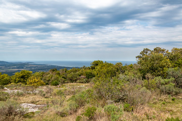 Sierra de las Animas, paseos y caminatas en la salida del monte indígena 