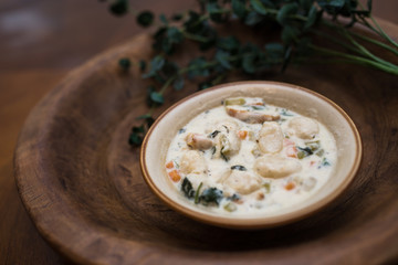 Traditional Italian chicken gnocchi soup in a bowl