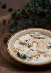 Traditional Italian chicken gnocchi soup in a bowl
