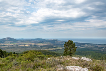 Sierra de las Animas, paseos y caminatas en la salida del monte indígena 