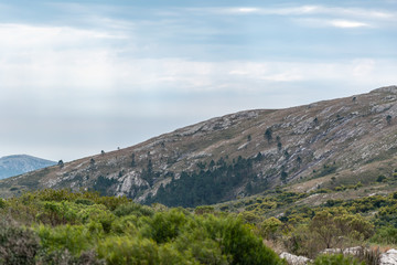 Sierra de las Animas, paseos y caminatas en la salida del monte indígena 