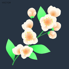 Plum blossom branch, Vector illustration design element