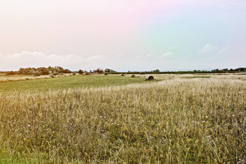 Landscape shot in the national park Neusiedler See in Illmitz Burgenland