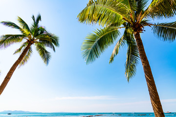 Fototapeta na wymiar Tropical beach with coconut palm trees at pattaya thailand
