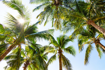 Fototapeta na wymiar Tropical beach with coconut palm trees at pattaya thailand