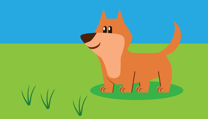 Cute dog want to play with you on the grass