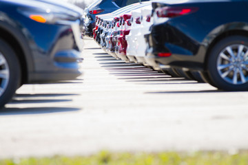 Canadian Car Dealer displaying array of vehicles on sale