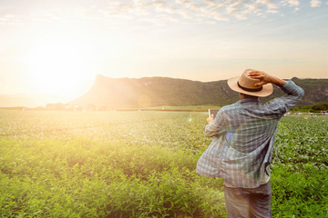 Tablet in the hands of farmers Vegetable farm with technology