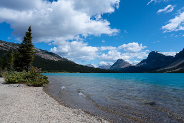 Bow Lake, Alberta