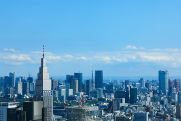 Fototapeta na wymiar (東京都ｰ都市風景)新宿側展望台から見る風景２