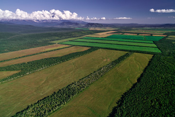 Aerial view of farm fields valley in the Kamchatka in Russia. Agricultural Landscape.