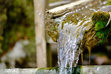湧き水