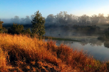 Fototapeta na wymiar misty river
