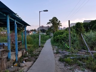 On bicycle road to the city, Nam Sang Wai, Yuen Long, Hong Kong