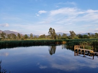 Scenic point on a pond reflecting the blue sky, Nam Sang Wai, Yuen Long, Hong Kong