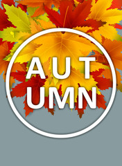 Autumn Background Template, with falling bunch of leaves, shopping sale or seasonal poster